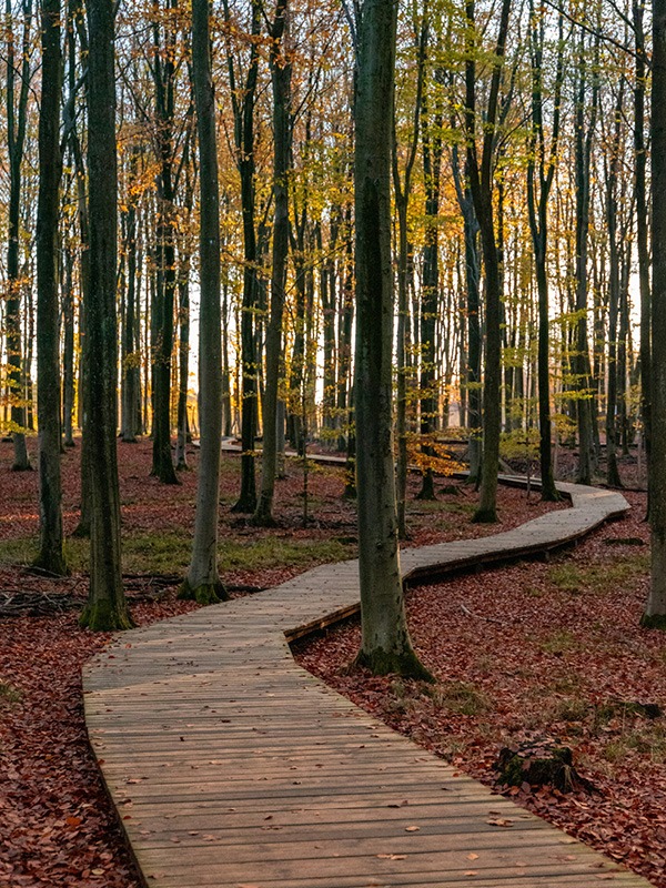 parcours cheminement intérieur évolution